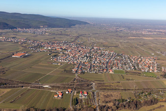 District Mußbach in Neustadt an der Weinstraße in the state Rhineland-Palatinate, Germany from above