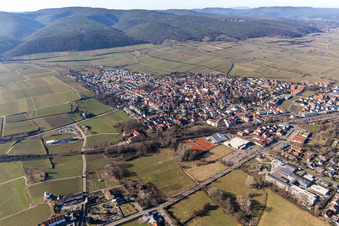 Aerial view of Ruppertsberg in the state Rhineland-Palatinate, Germany