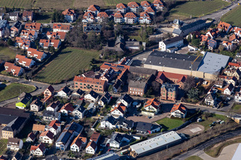 Schmieders, Samus Gallus in Deidesheim in the state Rhineland-Palatinate, Germany