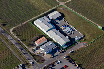 Raiffeisen Market, Anslinger, Lidl in Deidesheim in the state Rhineland-Palatinate, Germany