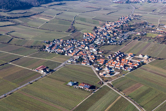 Aerial view of Village - view on the edge of wine yards in Forst an der Weinstrasse in the state Rhineland-Palatinate, Germany