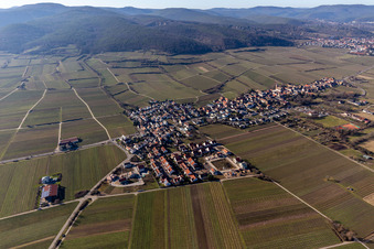 Forst an der Weinstraße in the state Rhineland-Palatinate, Germany