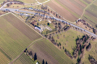 Tourist attraction and sightseeing Villa Rustica Wachenheim in Wachenheim an der Weinstrasse in the state Rhineland-Palatinate, Germany