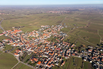Aerial view of City view from the downtown area with the outskirts with adjacent agricultural fields in Kallstadt in the state Rhineland-Palatinate, Germany
