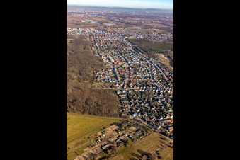 Aerial view of City area with outside districts and inner city area in Maxdorf in the state Rhineland-Palatinate, Germany