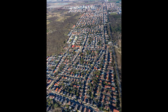 Birkenheide in the state Rhineland-Palatinate, Germany