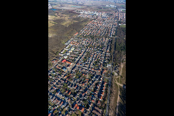 Aerial view of Birkenheide in the state Rhineland-Palatinate, Germany
