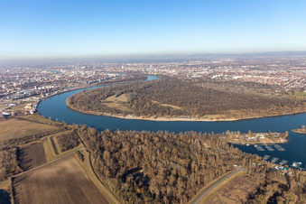 Reißinsel Nature Reserve in the district Niederfeld in Mannheim in the state Baden-Wuerttemberg, Germany
