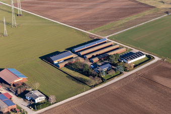 Aerial view of Aussiedlerhof Alsheimer Weg in Plankstadt in the state Baden-Wuerttemberg, Germany