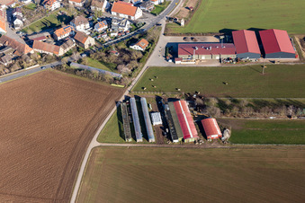Aerial photograpy of District Bruchhausen in Sandhausen in the state Baden-Wuerttemberg, Germany