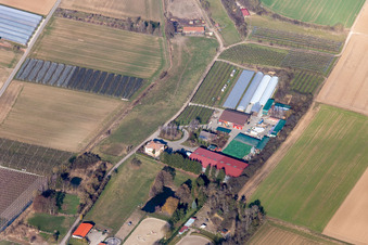 Zirker Fruit Farm in Herxheim bei Landau in the state Rhineland-Palatinate, Germany