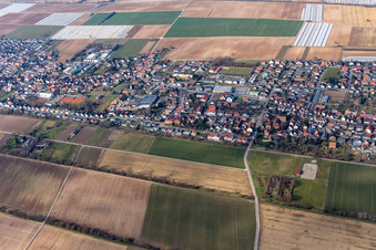 Oblique view of District Niederlustadt in Lustadt in the state Rhineland-Palatinate, Germany