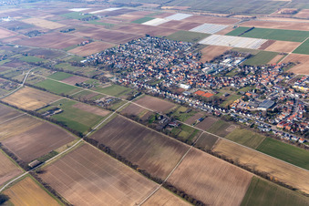 District Niederlustadt in Lustadt in the state Rhineland-Palatinate, Germany out of the air