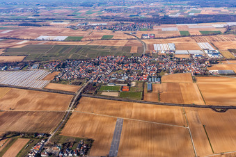 Oblique view of Village - view on the edge of agricultural fields and farmland in Weingarten (Pfalz) in the state Rhineland-Palatinate, Germany