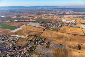 Weingarten in the state Rhineland-Palatinate, Germany
