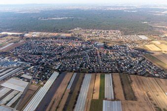Aerial view of Town View of the streets and houses of the residential areas in Dudenhofen in the state Rhineland-Palatinate