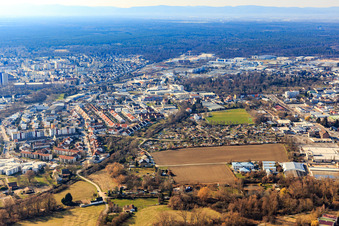 West, cow pasture in Speyer in the state Rhineland-Palatinate, Germany
