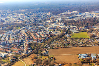 Aerial view of West, cow pasture in Speyer in the state Rhineland-Palatinate, Germany