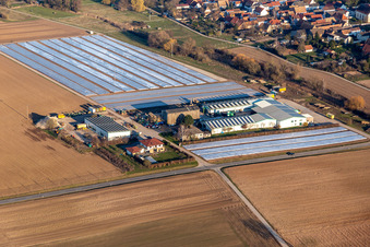 Foil covering vegetable growing ranks of Grafenlaender Gemuese in Freisbach in the state Rhineland-Palatinate, Germany