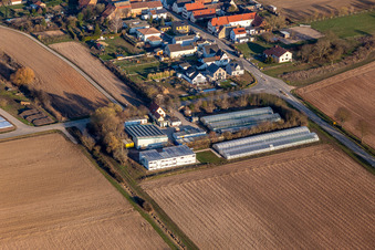 Oblique view of Freisbach in the state Rhineland-Palatinate, Germany