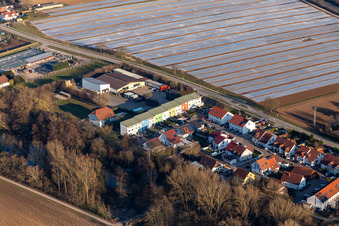 Oblique view of Weingarten in the state Rhineland-Palatinate, Germany