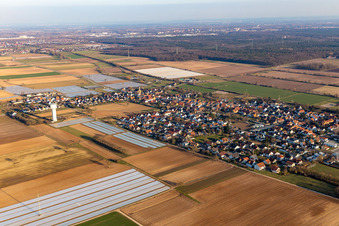 District Niederlustadt in Lustadt in the state Rhineland-Palatinate, Germany seen from above