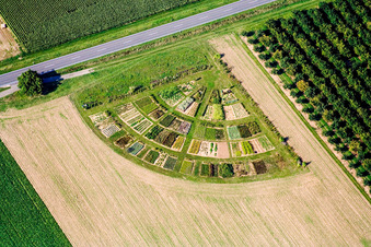 Radial Structures of coloured vegetables on agricultural fields in Hochstadt (Pfalz) in the state Rhineland-Palatinate