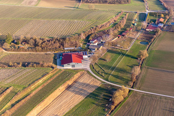 RANCH in Herxheim bei Landau in the state Rhineland-Palatinate, Germany from above