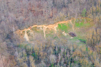 Aerial view of Edge of the forest in the district Ingenheim in Billigheim-Ingenheim in the state Rhineland-Palatinate, Germany