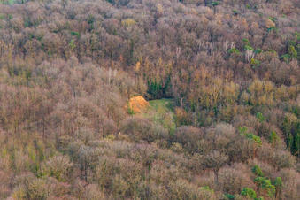 Old gravel pit in the forest in the district Ingenheim in Billigheim-Ingenheim in the state Rhineland-Palatinate, Germany