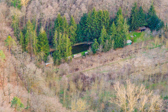 Fish pond at Horbach in the forest in Barbelroth in the state Rhineland-Palatinate, Germany