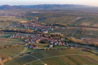 Aerial view of Village - view on the edge of agricultural fields and wine yards in the district Heuchelheim in Heuchelheim-Klingen in the state Rhineland-Palatinate, Germany