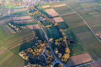 Sports field of SV Klingenmünster in Klingbachtal in spring bloom in Klingenmünster in the state Rhineland-Palatinate, Germany