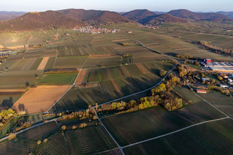 Aalmühl Valley before Eschbach on the edge of the Haardt in Göcklingen in the state Rhineland-Palatinate, Germany