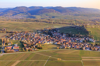 On the small Kalmit in Ilbesheim bei Landau in the state Rhineland-Palatinate, Germany