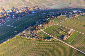 Oblique view of Chapel "Kleine Kalmit" in the nature reserve Kleine Kalmit on Easter morning with spring blossom in Ilbesheim bei Landau in the state Rhineland-Palatinate, Germany