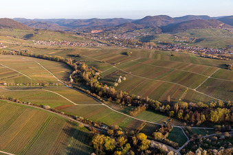 Aerial view of Ranschbachtal in Ranschbach in the state Rhineland-Palatinate, Germany