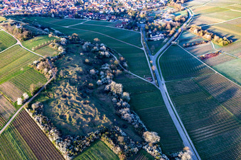 Aerial view of Kleine Kalmit nature reserve on Easter morning with spring blossom in the district Arzheim in Landau in der Pfalz in the state Rhineland-Palatinate, Germany