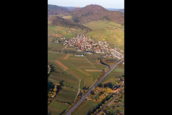 Keschdebusch (chestnut bush) in front of the Trifels in Birkweiler in the state Rhineland-Palatinate, Germany