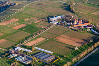Building complex of the Institute Julius Kuehn Rebforschungsanstalt Geilweilerhof mit bluehenden Mandelbaeumen in Siebeldingen in the state Rhineland-Palatinate, Germany