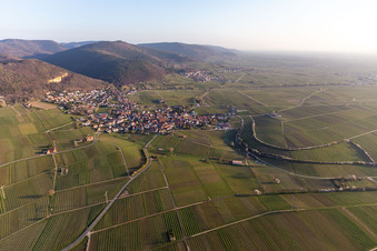 Frankweiler in the state Rhineland-Palatinate, Germany from above