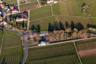 Cemetery in Frankweiler in the state Rhineland-Palatinate, Germany