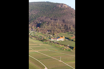 Complex of the hotel building Wohlfuehlhotel Alte Rebschule and Gasthaus Sesel in springtime in Rhodt unter Rietburg in the state Rhineland-Palatinate, Germany