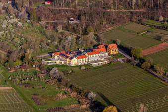 Aerial view of Complex of the hotel building Wohlfuehlhotel Alte Rebschule and Gasthaus Sesel in springtime in Rhodt unter Rietburg in the state Rhineland-Palatinate, Germany