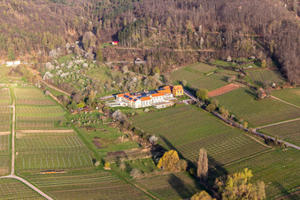 Aerial photograpy of Complex of the hotel building Wohlfuehlhotel Alte Rebschule and Gasthaus Sesel in springtime in Rhodt unter Rietburg in the state Rhineland-Palatinate, Germany