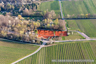 TC Green-White Edenkoben eV in Edenkoben in the state Rhineland-Palatinate, Germany