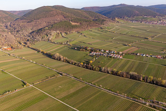 Settlement district in Edenkoben in the state Rhineland-Palatinate, Germany