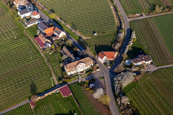 Buildings mansion Meistersinger in Edenkoben in the state Rhineland-Palatinate, Germany