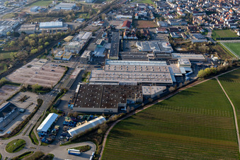 Oblique view of Building and production halls on the premises of Tenneco Automotive Deutschland GmbH in Edenkoben in the state Rhineland-Palatinate