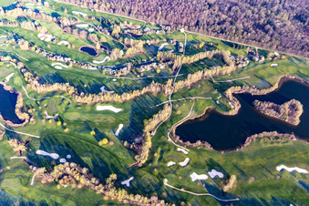 Aerial view of Blooming trees in the spring on the grounds of the Golf course at Landgut Dreihof GOLF absolute in Essingen in the state Rhineland-Palatinate